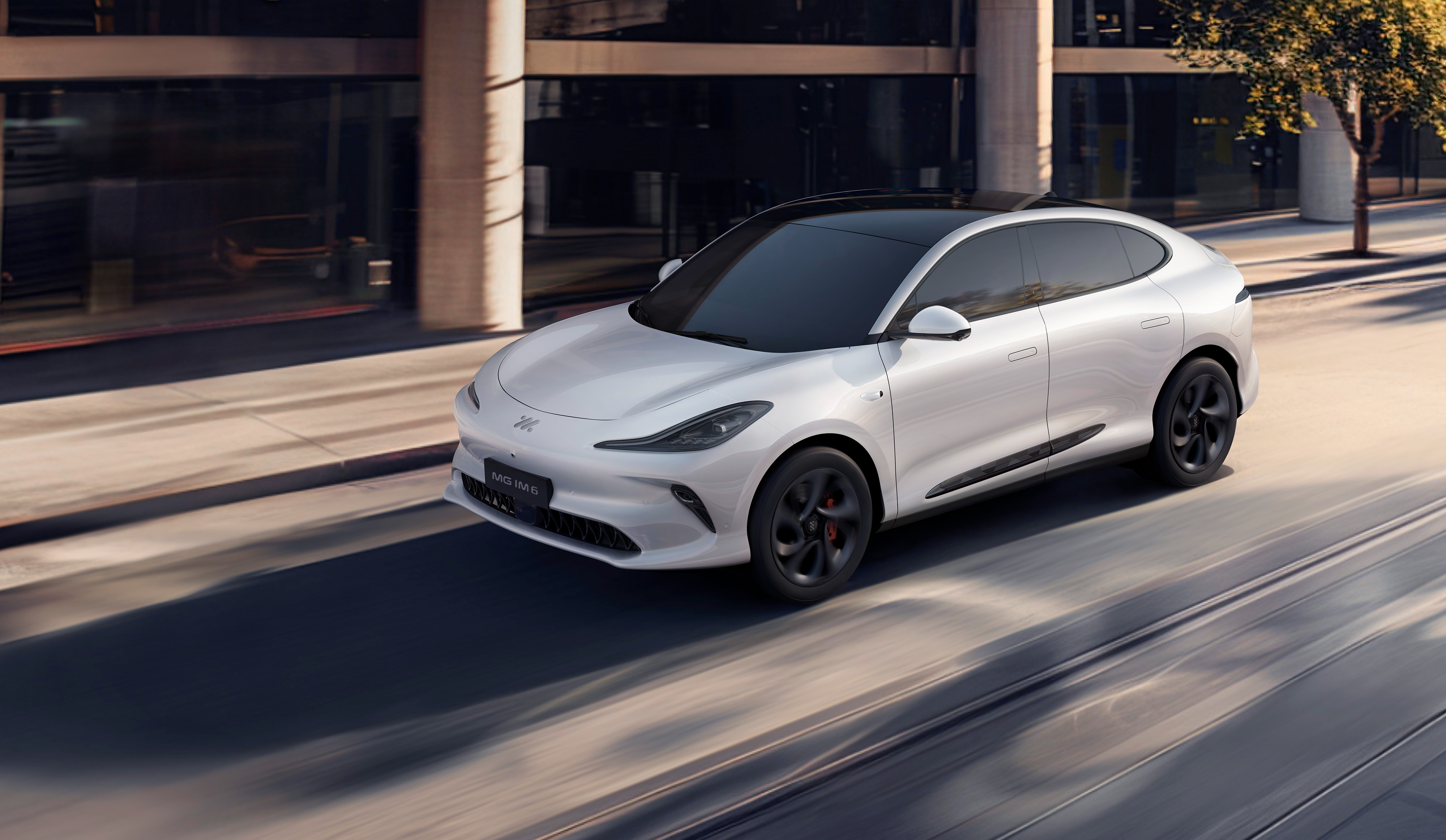 Introducing the MG IM6.