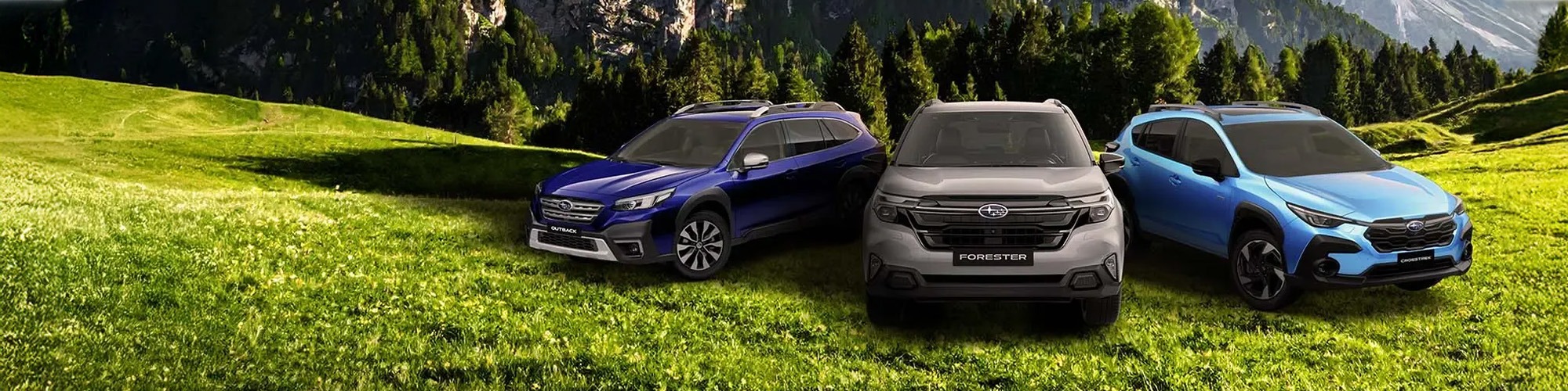 Welcome To Crayford & Abbs Subaru