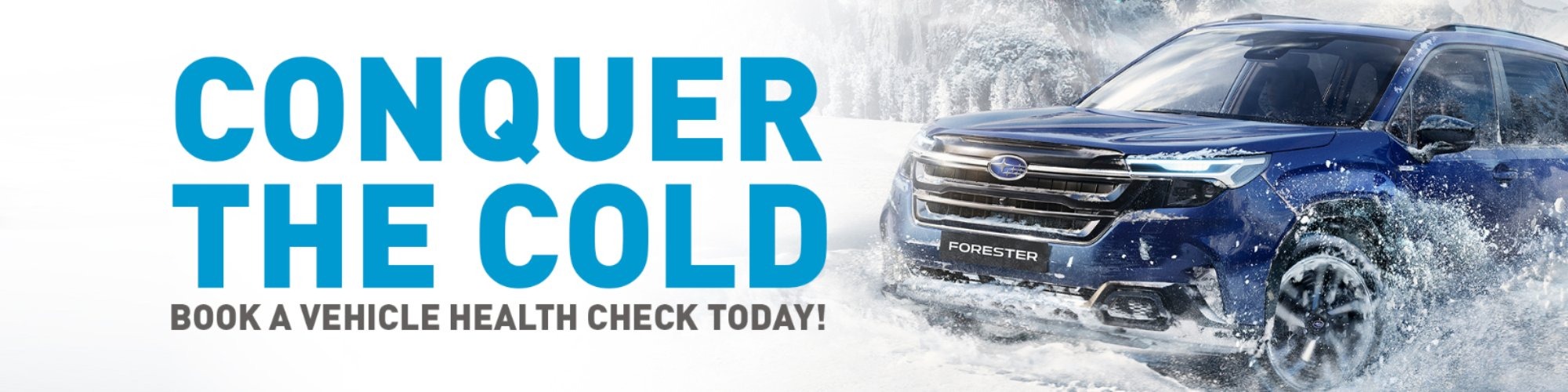 Winter/Summer Health Checks