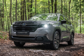 Subaru Forester Estate 2.0i E-Boxer Touring Linear at Crayford & Abbs Ltd Holt