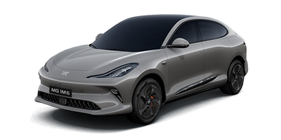 MG IM6 - Rembrandt Grey